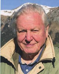 WITH HONOURABLE INTENT