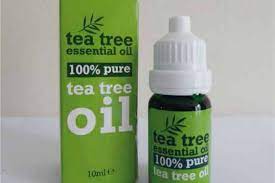 Tea Tree Oil Exposure In Cats And Dogs The Veterinary Nurse