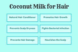 It has rich properties of nourishing tissues which help in hair growth. Coconut Milk Benefits For Hair Improve Hair Growth Stop Hair Damage