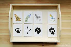Tierspuren drucken tierspuren des waldes bedruckbar. Wilden Tieren Auf Der Spur Montessori Blog Shop Montiminis