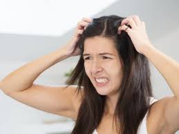 Check spelling or type a new query. Mimpi Telur Kutu Rambut Arti Dan Tafsir Mimpi