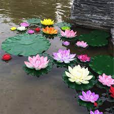 Tropical gardens including bright hibiscus flowers, koi pond with floating lotus blossoms, acres of greenery walking paths, cultural preserves, sandy beach, and the pacific ocean. 10pcs Lot 10cm Real Lily Floating Pool Plants Lotus Flower Seeds Floating Flowers Pool Plants