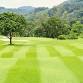 2026 HANYC Foundation Annual Golf Outing