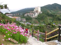 Welkom bij natasya resort cameron highlands, de ideale keuze voor reizigers zoals jij. Cameron Highlands Malaysia Strawberry Farms Tea Plantations And Touring Tanah Rata Hubpages