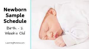 How to start a schedule secondly, if you get behind on the schedule, don't miss a feed. Babywise Schedule Sample For A Newborn When Should They Sleep