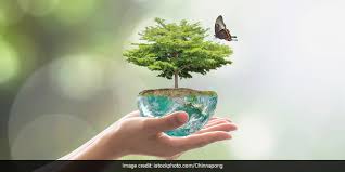 Hosted in rwanda, it celebrated the diversity of life on earth as part of the 2010 international year of biodiversity. Mzvd3ednamyp6m