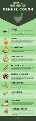How To Get Rid Of Kennel Cough Dog Cough Remedies Home Remedies Remedies