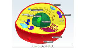 This instructable is on how to make the example. Cell Nucleus 3d Virus 3d Bacteria 3d Molecule
