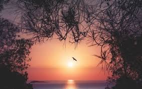 Koleksi oleh siska rian noviyani. 23 Background Keren Pemandangan Senja Lukisan Pemandangan Senja Di Pantai Cikimm Com Download Free Time Di 2021 Pemandangan Kiat Kebun Organik Matahari Terbenam