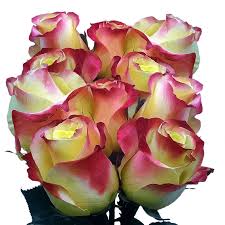 Maybe you would like to learn more about one of these? Best Yellow Red Colors Rose Flowers Yellow Red Roses Globalrose