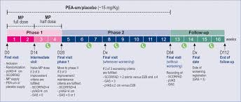 Effect Of Dietary Supplementation With Ultramicronized