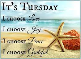 Tuesday is only the beginning of the week. Happy Tuesday Quotes Funny Tuesday Morning Images And Sayings