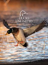 Hd wallpapers and background images Duck Hunting Wallpapers Wallpaper Cave