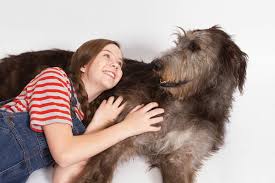 Maybe you would like to learn more about one of these? Because Of Winn Dixie Opens At The Rep Arkansas Times