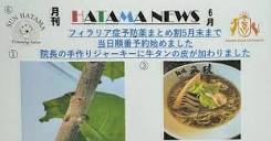 HATAMA通信 6月号｜湘南の犬猫病院（藤沢はたま犬猫病院）