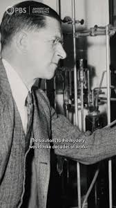 What if your final resting place could help protect the planet? The green  burial movement is changing the way we say goodbye—offering a more natural,  meaningful way to honor life. From conservation