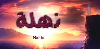 قالت الفنانة نهلة سلامة، إن المخرج محمد سامي من أهم المخرجين الموجودين على الساحة الآن، ولو عرض عليها الزواج من مخرج مشهور، سيكون هو المخرج محمد سامي، موضحة: Ù…Ø¹Ù†Ù‰ Ø§Ø³Ù… Ù†Ù‡Ù„Ø© ÙˆØµÙØ§Øª Ø­Ø§Ù…Ù„Ø© Ø§Ø³Ù… Ù†Ù‡Ù„Ø© Nahla Ø­ÙŠØ§ØªÙƒ