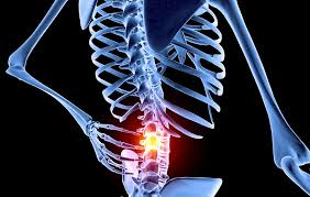 See human back anatomy stock video clips. 7 Things Your Back Pain Is Trying To Tell You Prevention
