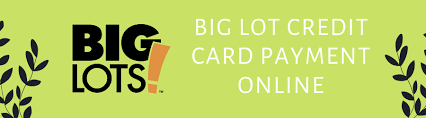 We did not find results for: Big Lots Credit Card Payment Customer Service Digital Guide
