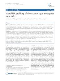 Microrna Profiling Of Rhesus Macaque Embryonic Stem Cells