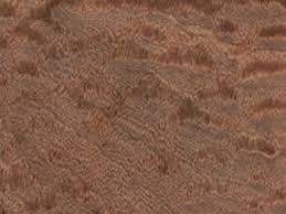 Do you like the sound and tone of sapele? Sapele Remains A Popular Alternative Woodshop News