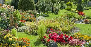 More Than 12 000 Plants To Be Displayed At Mount Dora Garden Fair Lake Sumter Style