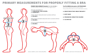 41 Eye Catching Bra Size Meanings