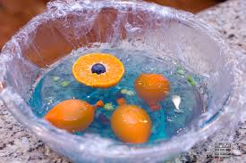 In both animal and plant cells. Animal Cell Model Researchparent Com