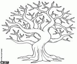 Find more coloring pages online for kids and adults of fall tree nature coloring pages to print. Tree Coloring Pages Printable Games
