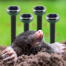 Image result for plašič krtků z pet lahve