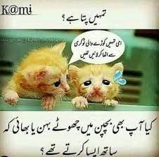 Caty Caty In 2021 Cute Funny Quotes Funny Pranks For Kids Friends Quotes Funny