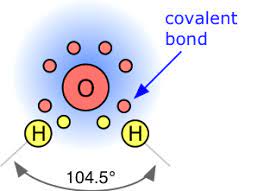 Check spelling or type a new query. Water And Its Structure