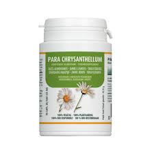 Image result for Chrysanthellum