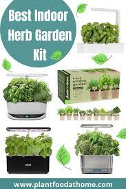 Best Indoor Herb Garden Kit 2021 Herb Garden Kit Indoor Herb Garden Herb Growing Kits