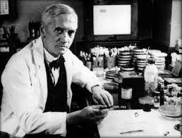 Alexander Fleming: Facts About The Scientist Who Discovered Penicillin -  Primary Facts