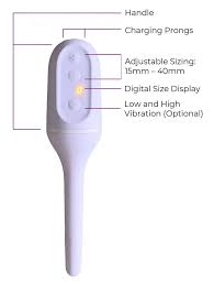 Pelvic Health Company Raises $20M in Billion-Dollar Femtech Market | Sex  For Every Body®