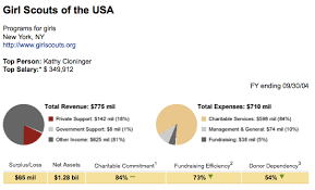 Ceo Salaries The Ceo Of The Boy Scouts Earns Three Times