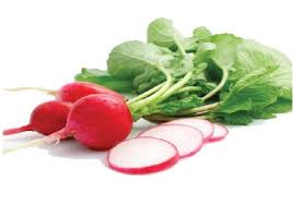 Coming from the brassicaceae family, radish is a root vegetable, which is radish is rich in iron which helps to increase blood circulation in our hair and body, which in turn promotes healthy growth of hair and makes the scalp as well as roots stronger. Amazing Benefits Of Radishes Salud Al Dia Magazine