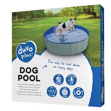 Watch dogs crash at 1920 x 1080 fullscreen37may 2014feb 2015. Dog Pool Drupal