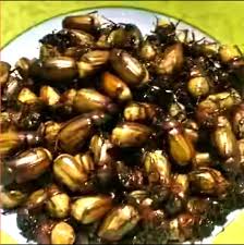 Hasil gambar untuk makanan khas gunungkidul