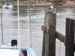 Profil untuk Scott Klekar