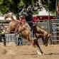 Poway Rodeo