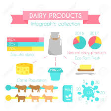 Dairy Products Vector Infographic Milk Industry Concept Flat