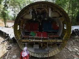 Daunnya mempunyai bau.daun dan bunga dilaporkan pernah diguna untuk merawat luka dan sebagai racun serangga. Idea Gila Dua Beranak Wujudkan Hotel Kapal Terbang Dalam Hutan