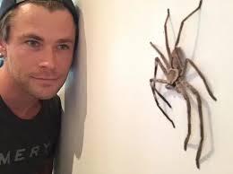 Chris Hemsworth On Living In Rural Australia: 'It's Like Jurassic Park!'