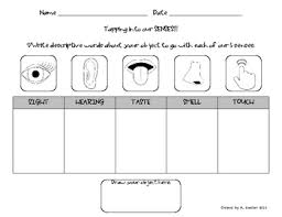 5 Senses Chart Describing An Object Using Our 5 Senses Science With Writing