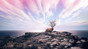 A collection of the top 115 4k desktop wallpapers and backgrounds available for download for free. Desktop Wallpaper 4k Top Best 4k Desktop Wallpaper Download