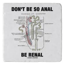 Removed with ureteroscopy from a single kidney. Kidney Stone Humor Gifts On Zazzle Nz