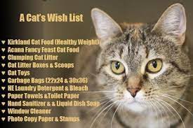 6 Wish Lists Your Pet Would Like To Receive This Christmas Pet Insurance Reviews Sick Pets Cats