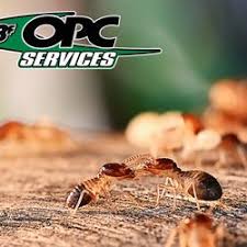 Looking for pest control, termites control or bed bugs control? The Best 10 Pest Control In Jackson County Oh Last Updated November 2020
